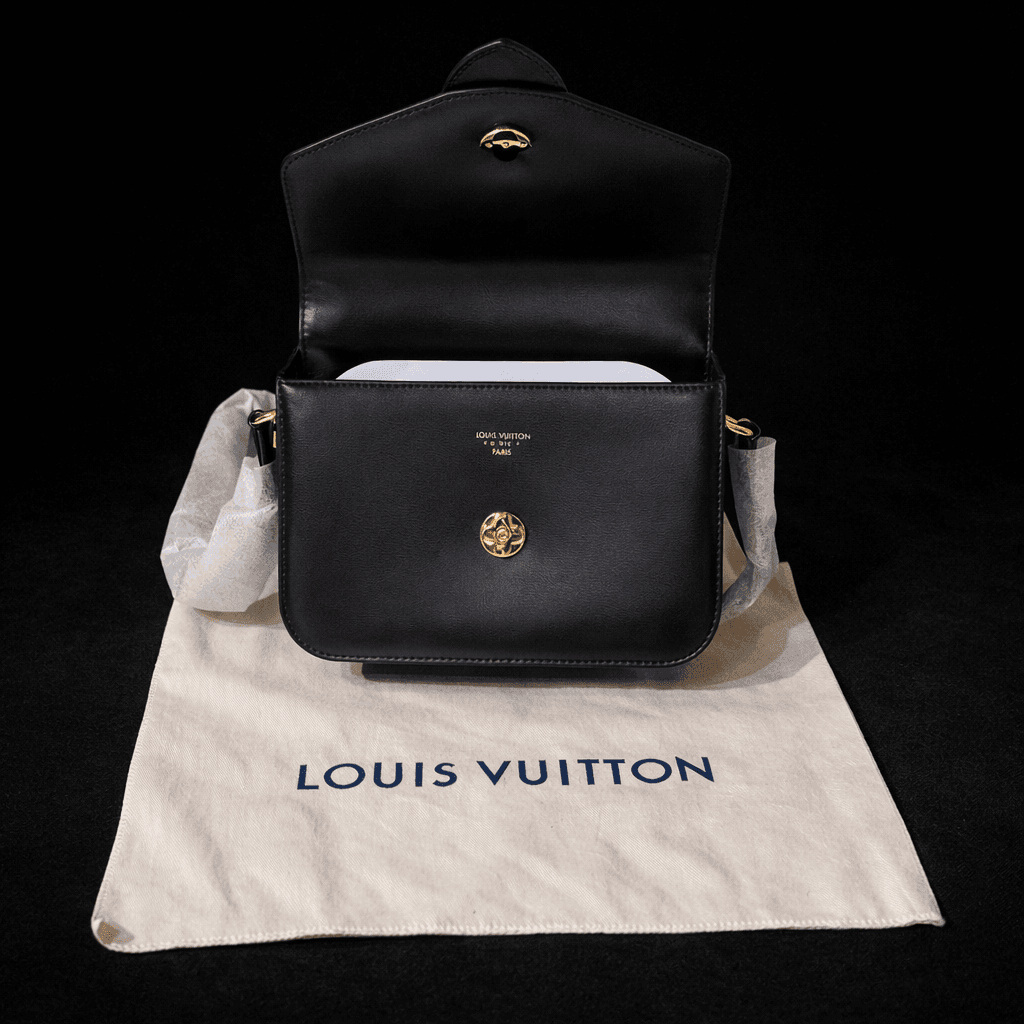 Geanta Louis Vuitton  Pont Neuf 2020 2